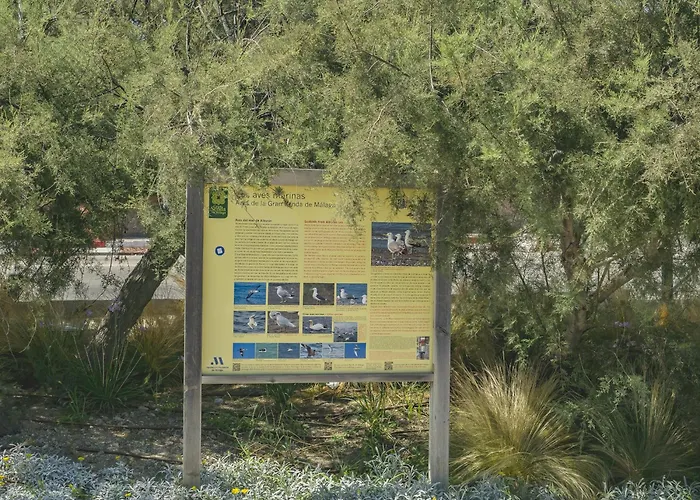 Cubo's Oceanview Apartment&free Parking *