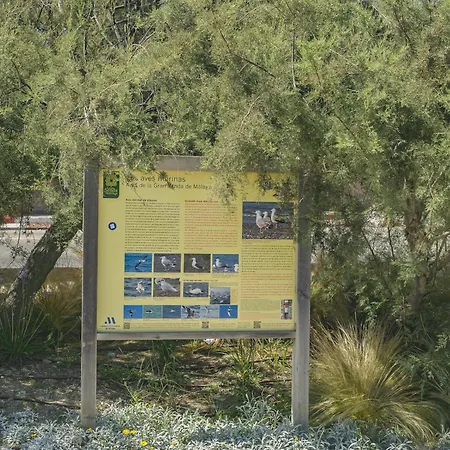 Cubo's Oceanview & Free Parking *